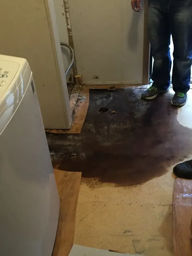Water spread across a laundry room floor beside a washing machine