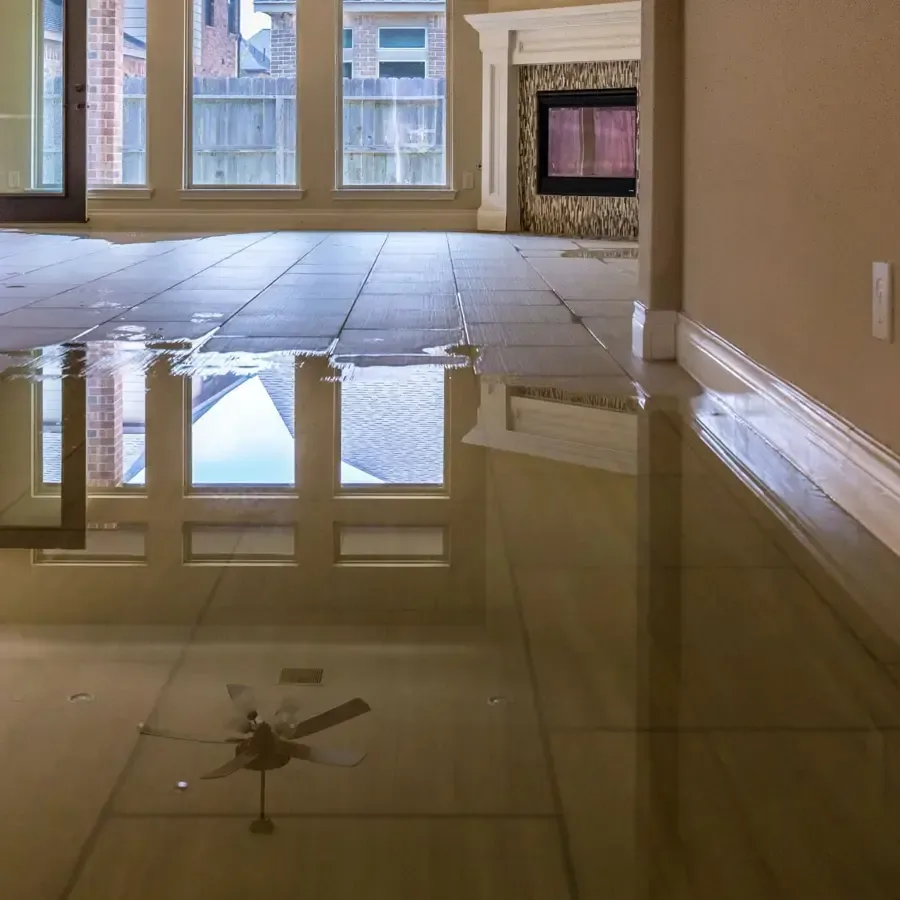 Standing water across a tiled living room floor before extraction