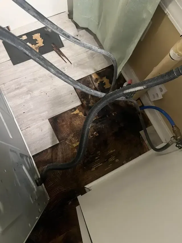 Removed floor planks expose wet subfloor beside appliance connections and a black hose