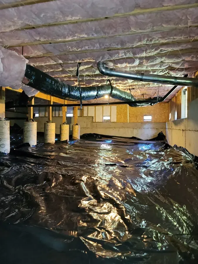 Water pools across plastic ground covering beneath crawl space insulation and exposed pipes