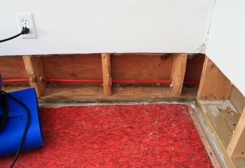 Basement Flood in Cedar Hill, Texas