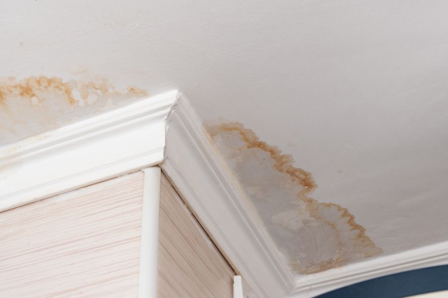 Water Damage Claim Adjusting in Cedar Hill, Texas by Pro Dry LLC